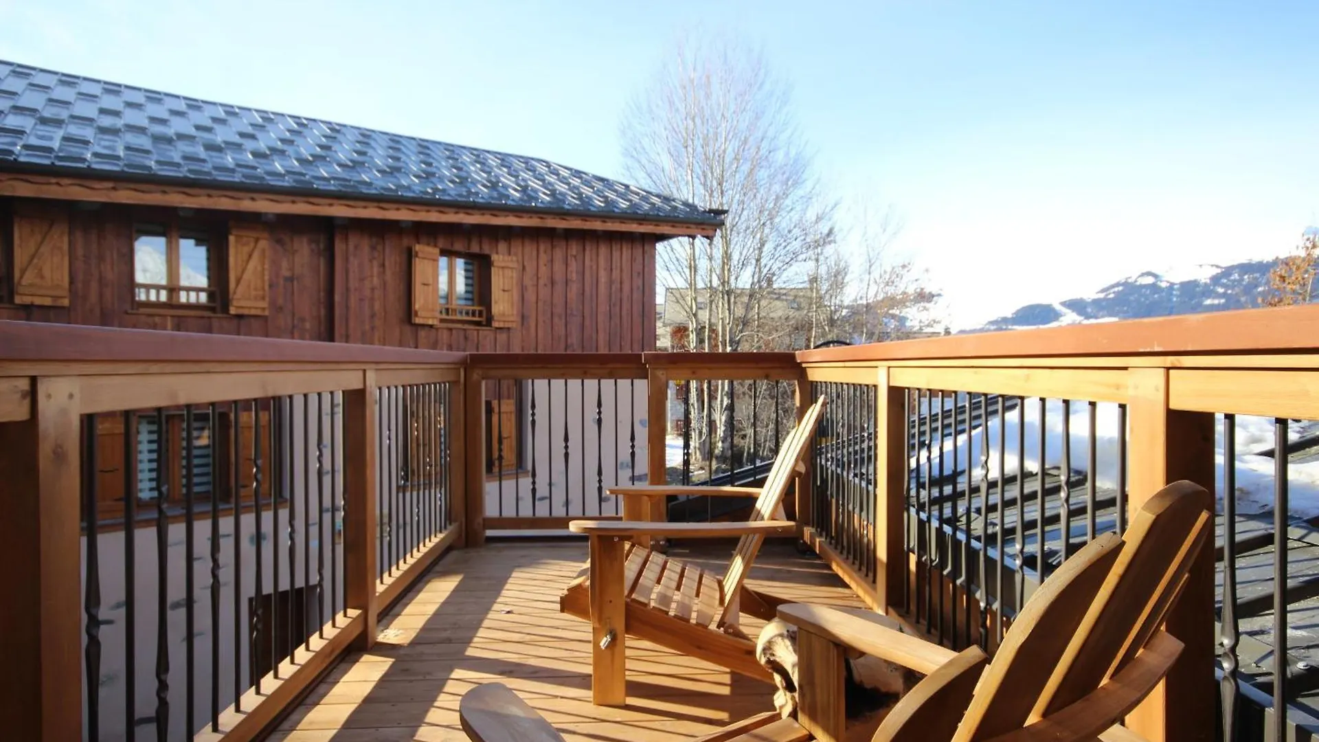 Chalet L'Aulp ラ・プラーニュ フランス
